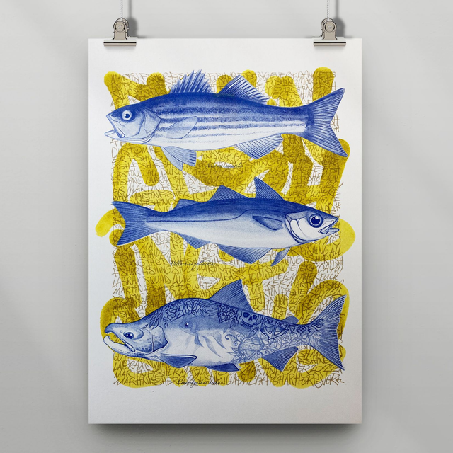 Martin Roulet - Poissons