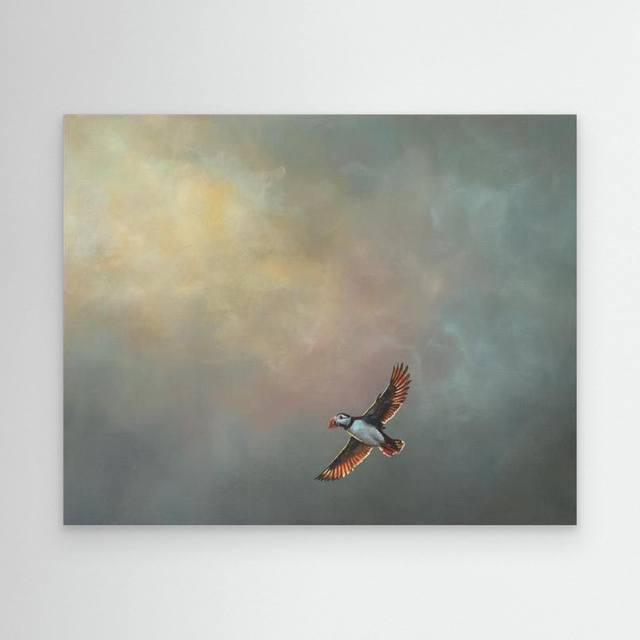 Safe Harbour - (Puffin)