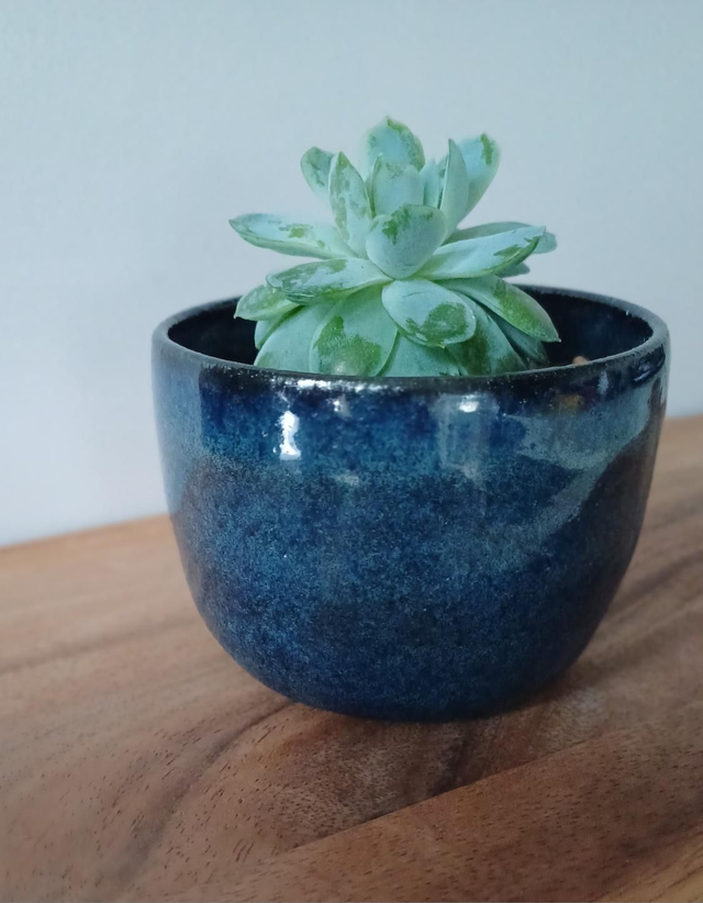 Blue succulent pot