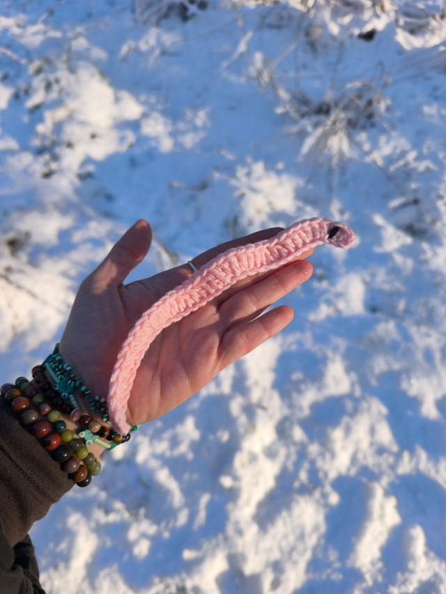 Marque-page ver de terre