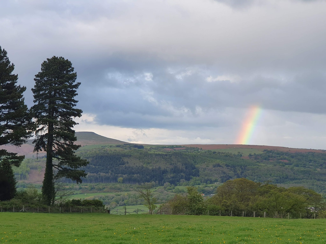 Brush Strokes & Blooms - Tuesday 19th August - 9am - 1pm