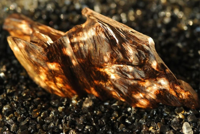 OUD fondants parfumés 
