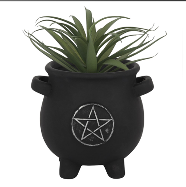 Pentacle Cauldron Plant Pot. 