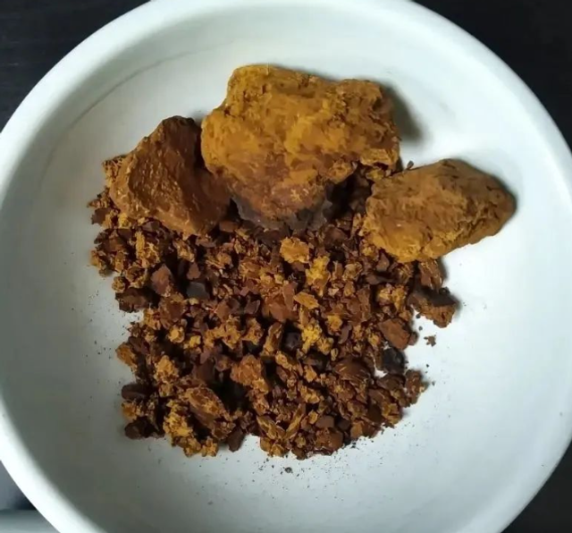 Pakuri - Chaga chunks - 75g - BIO