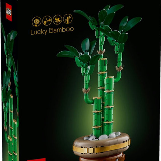 10344 Bambù Del Buon Auspicio