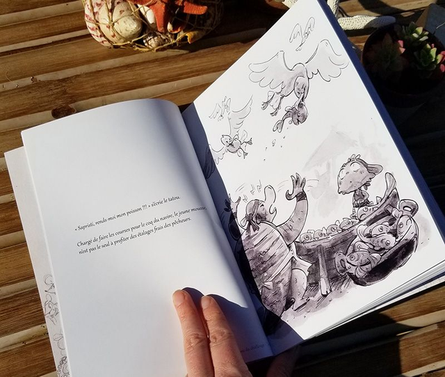 Artbook | Vie de Pirate