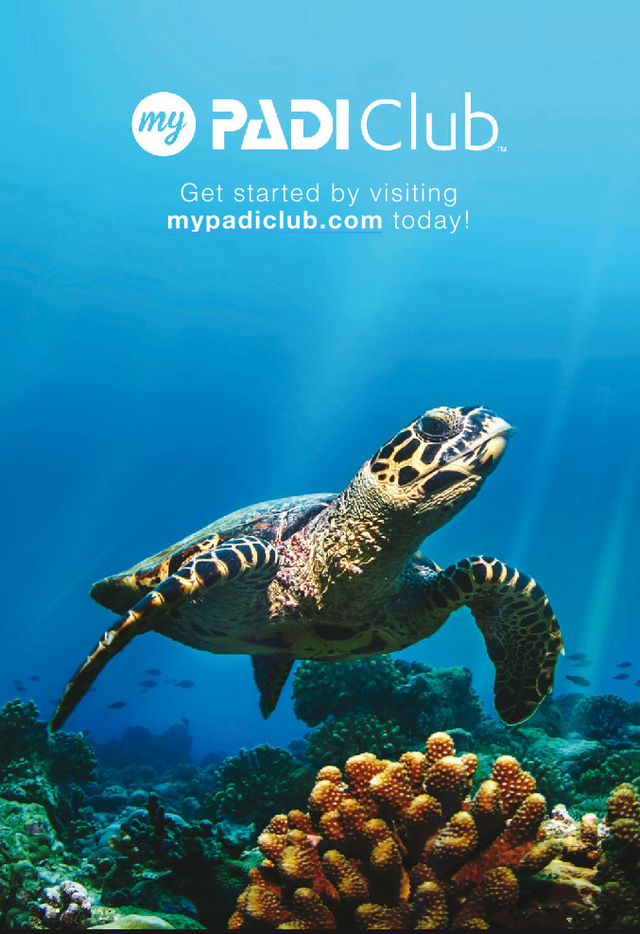 PADI CLUB cours elearning à prix réduits