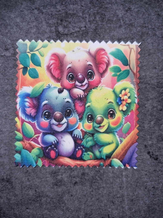 Koalas