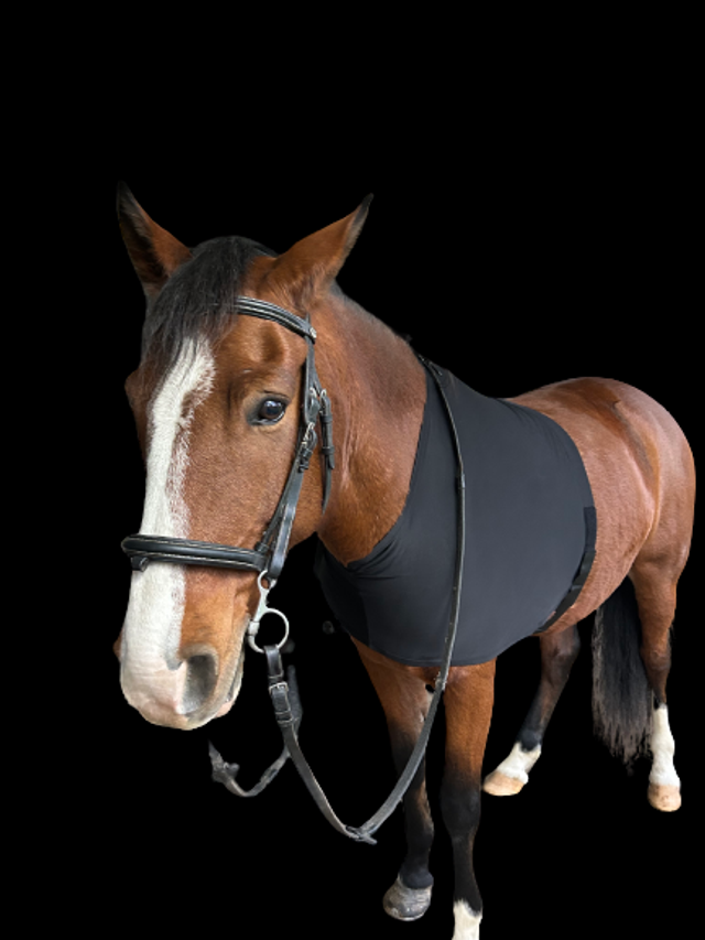 PROTECTION D'ÉPAULES EQUITHÈME