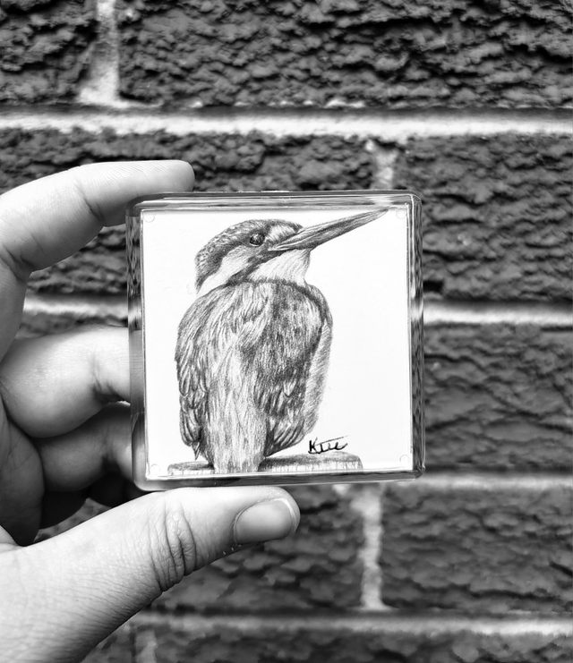 Kingfisher Magnet