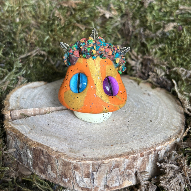 Champignon 24