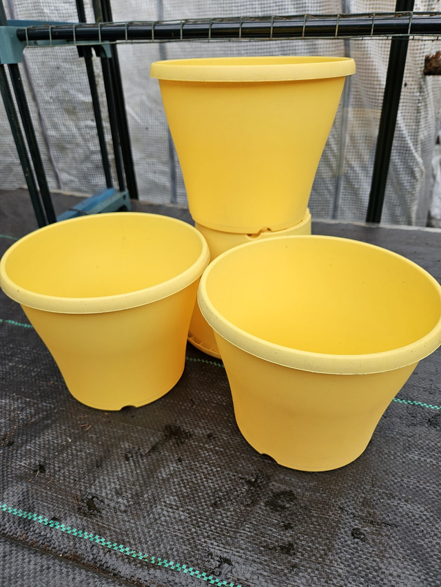 Yellow Hard Plastic Decorative 4.5 Litre Pot