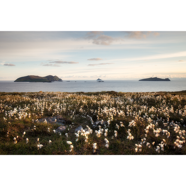 The Blaskets - Cloichear - Clogher