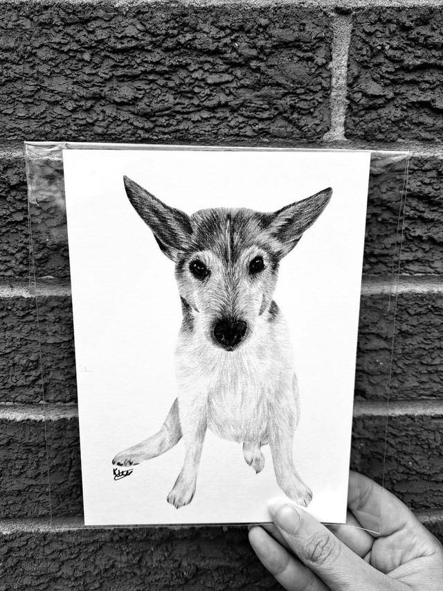 Jack Russel Mini Print 
