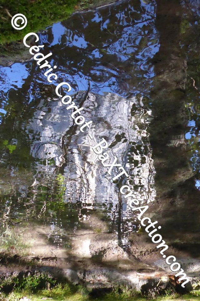 Impression sur alu dibond - Reflets et cours d'Eau (ref P1190112)