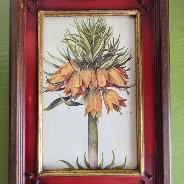 Reproduction d'une gravure ancienne encadrée sous verre 