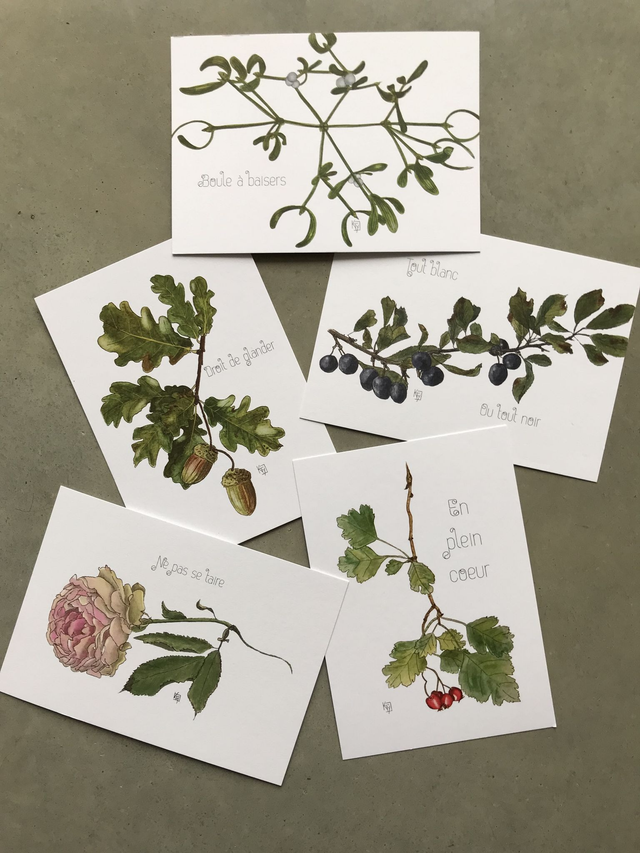 lot de 5 cartes botaniques (Sans enveloppe)