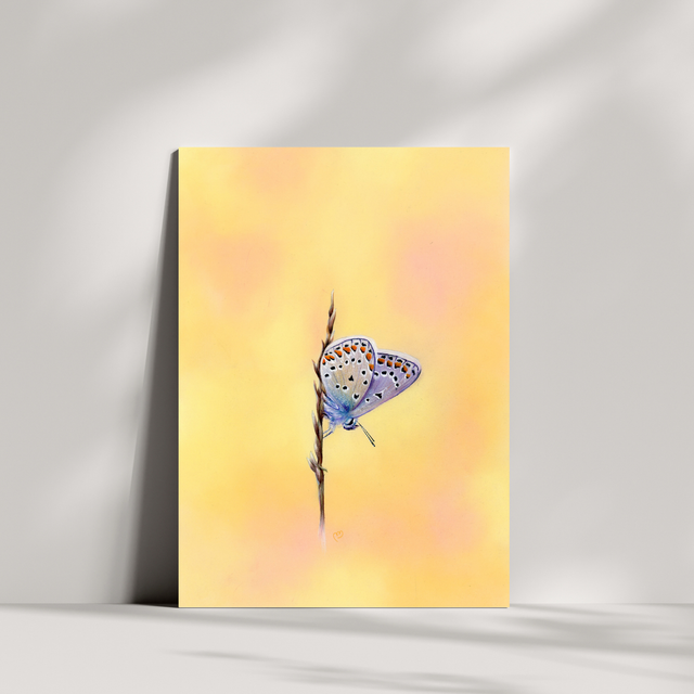 Carte de vœux - Papillon Bleu Mélissa N°1
