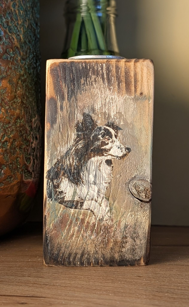 Collie dog lay down, looking out - Tealight Holder Reclaimed Wood