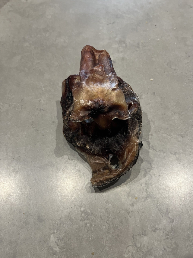 Nez de boeuf