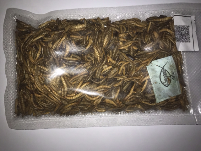 Camole della farina essiccate