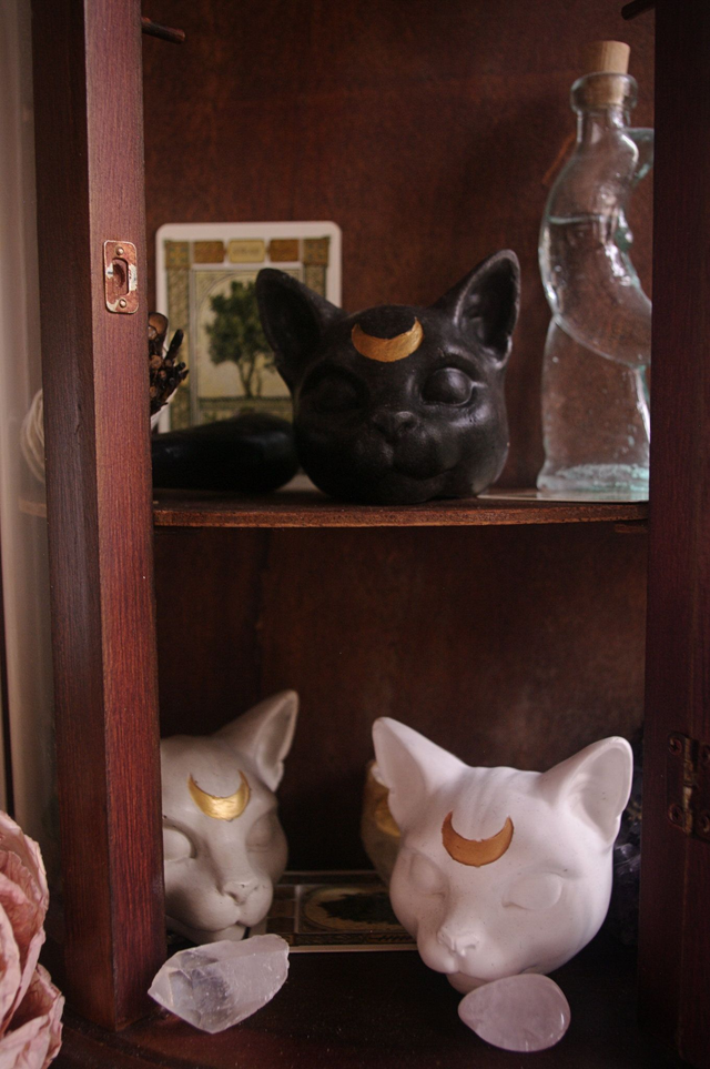 Chat lunaire