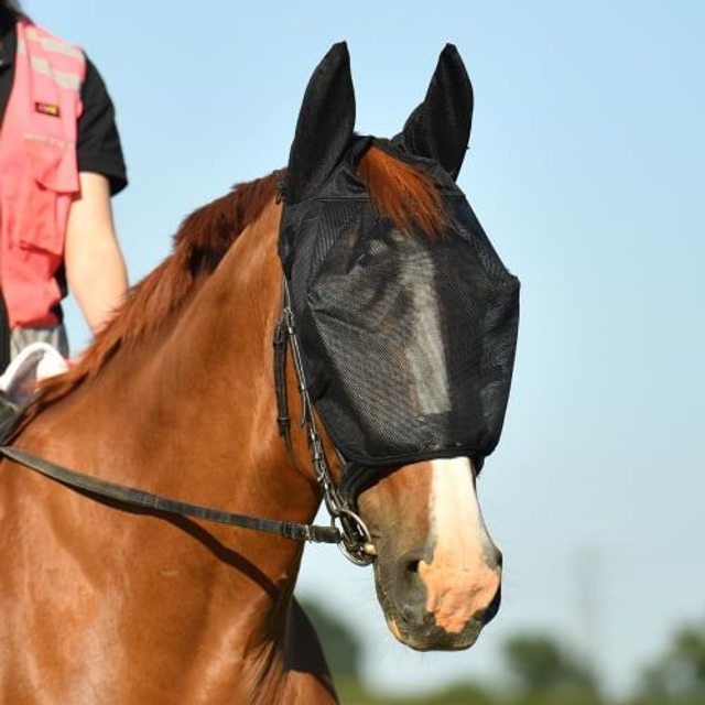 Equilibrium Fly Relief Riding Mask