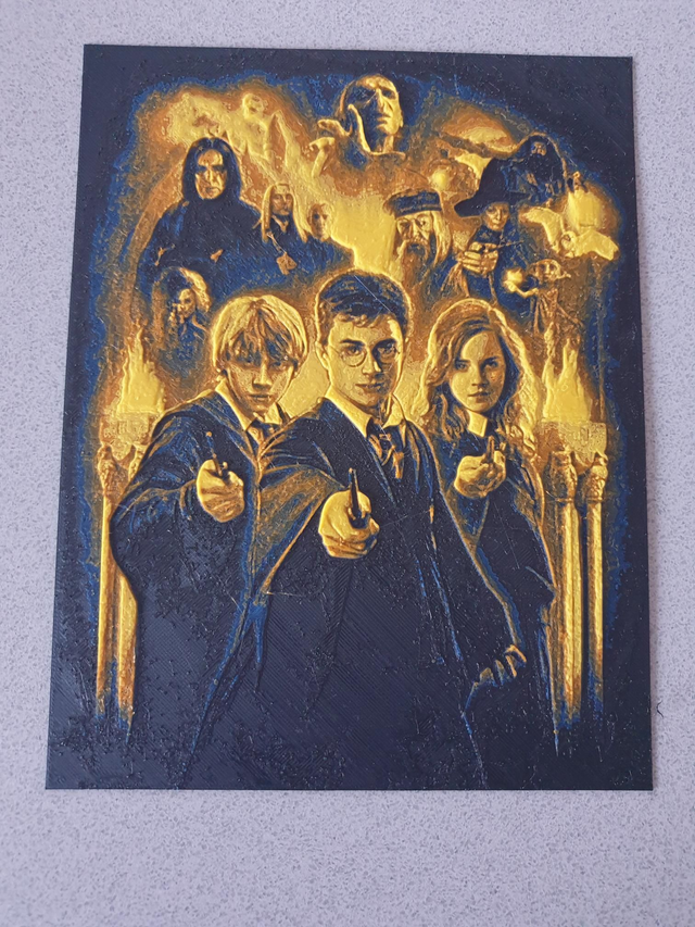 Plaque Deco Harry Potter 