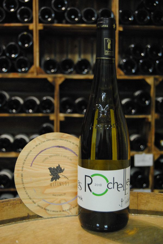 Chenin 2023 - Blanc Sec Tranquille - Domaine des Rochelles (J-Y et J-H Lebreton)