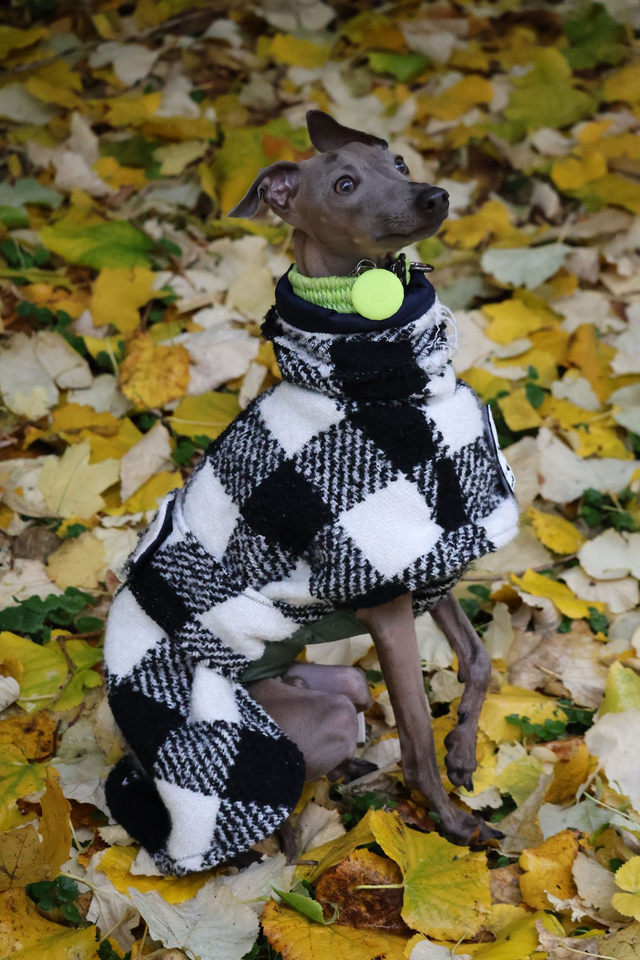 PAP Wool Trench Coat