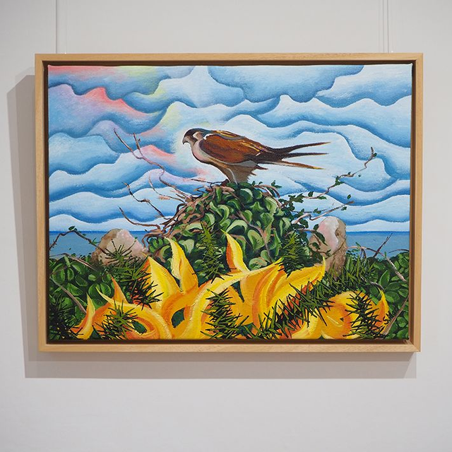 Kestrel with Gorse Flowers (2024) Sarah Macdonald