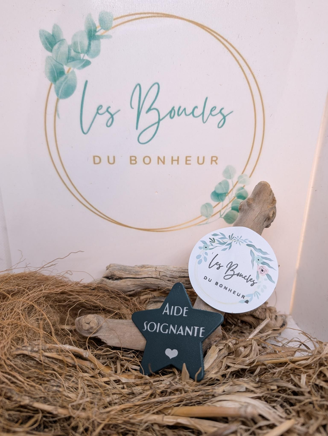 Broche personnalisée aide soignante verte br063