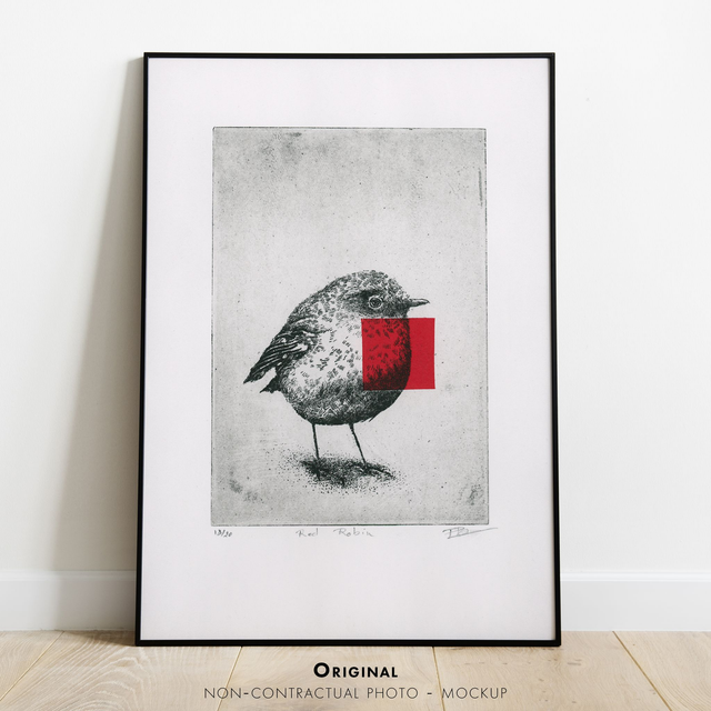 Fine art etching / Not framed / Red Robin bird