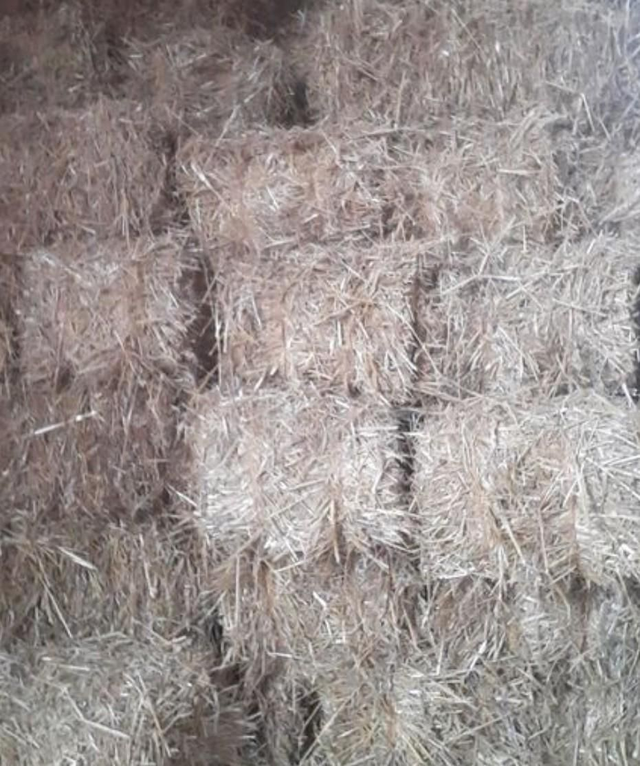 Straw small bale light 8 kgs use 18 a day approx
