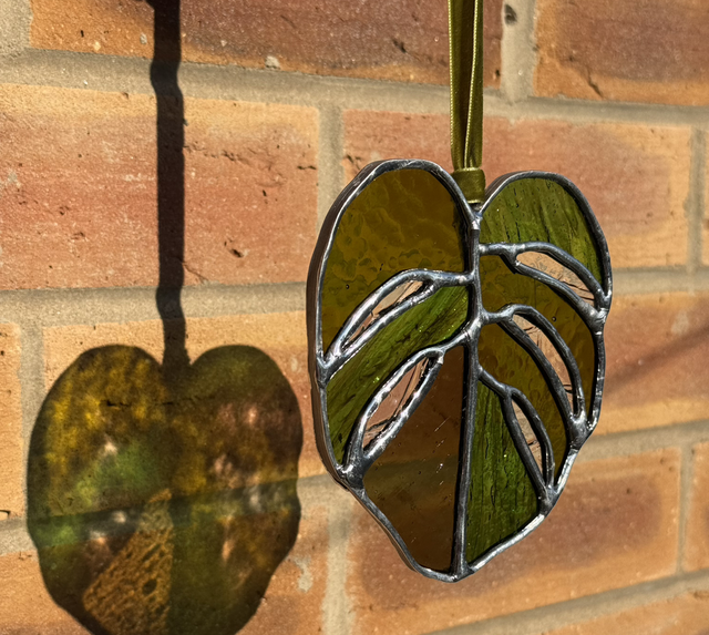 Made to Order - Magnificent Monstera Small