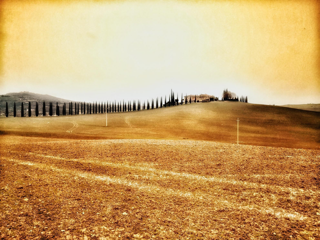 Private Wine Tour Tuscany Montalcino & Montepulciano Tours 10 hours - pick-up drop-off Florence city Mercedes and private driver English speacking - CHOOSE YOUR MERCEDES CLASS