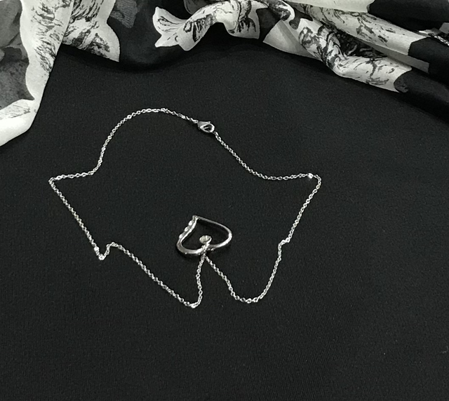 Silver Coloured Necklace - NEC22