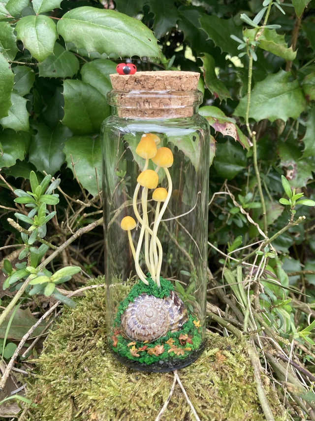 Escargot et champignon