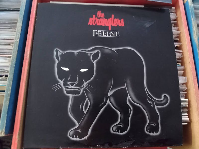 The Stranglers – Feline