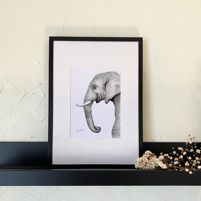 Elefante 
