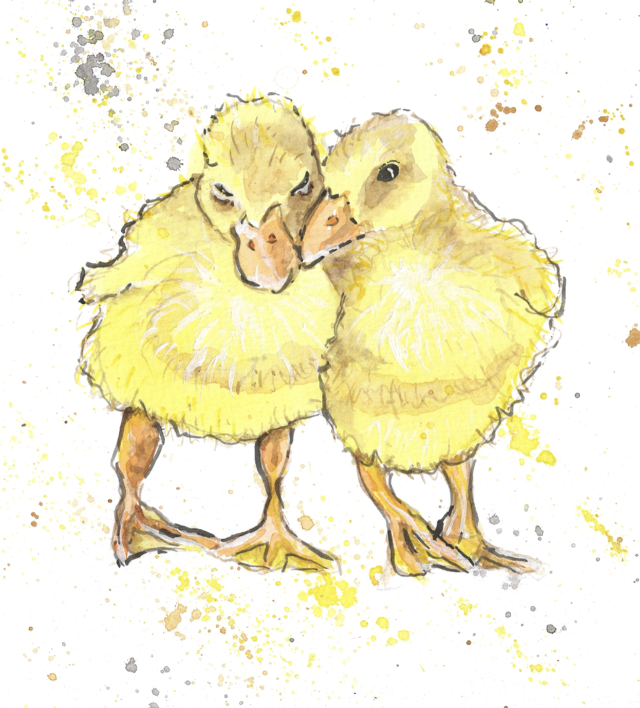 Chicks A6 Card