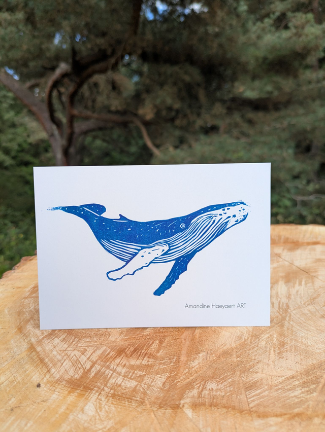 Carte postale Baleine