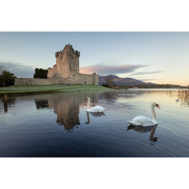 Ross Castle - Kilalrney