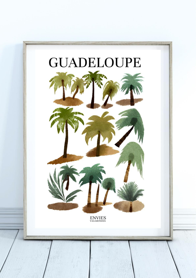 PALMIERS DE GUADELOUPE Affiche décorative