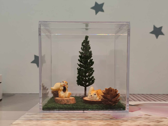 Vitrine des petits écureuils