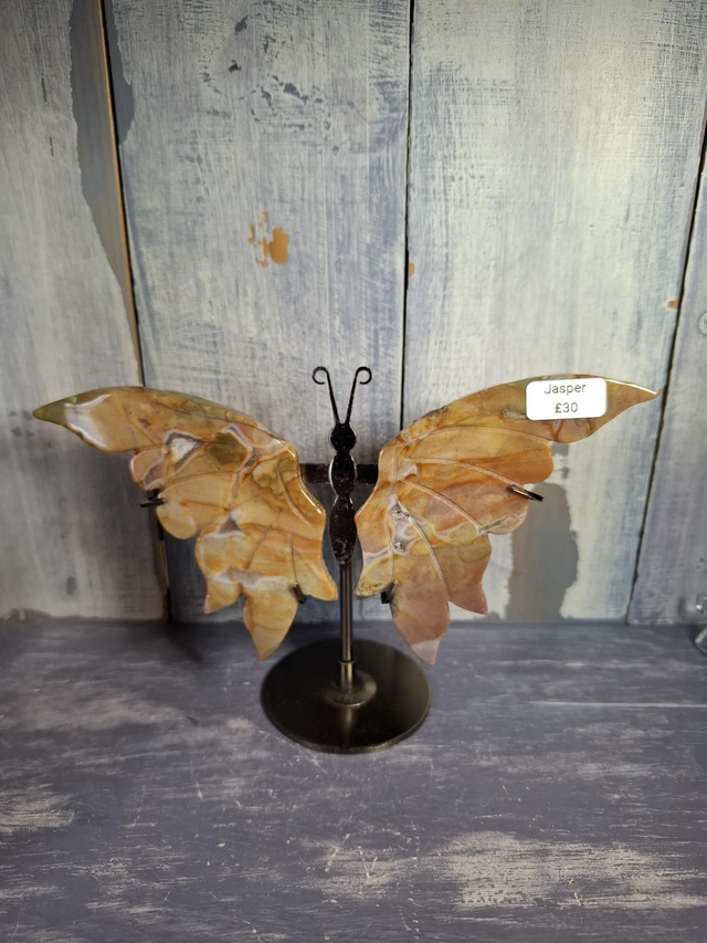 Jasper Butterfly 