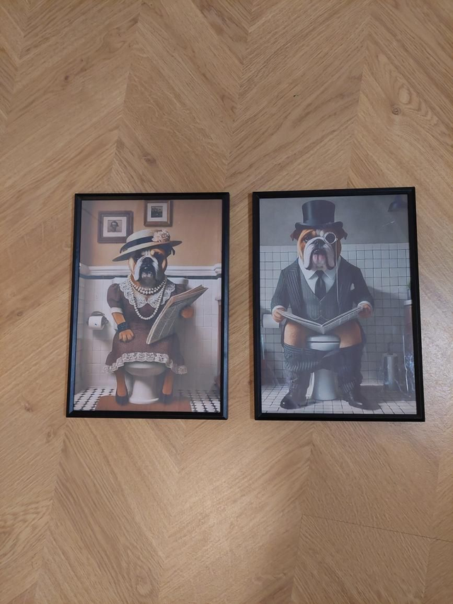 A4 koon kaksi taulua, bulldog pari pöntöllä, musta kehys 