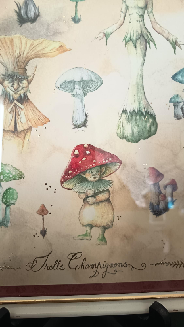 Grand cadre - Trolls Champignons 🍄
