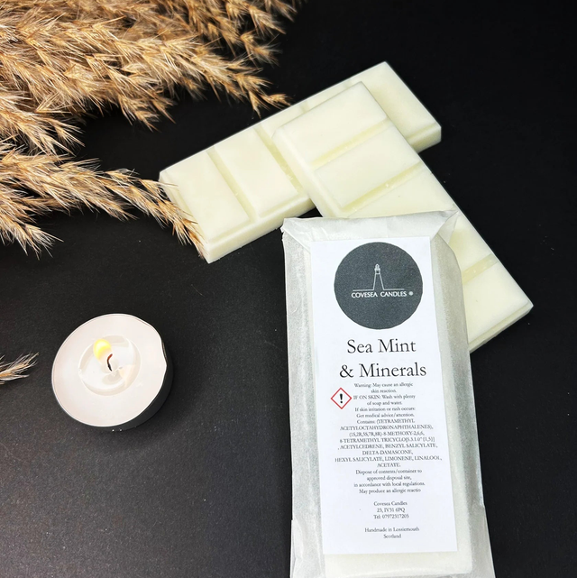 Sea Mint & Minerals wax melt