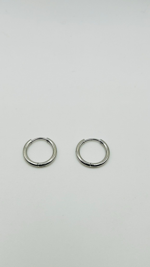 Stainless Steel Earrings (SSE89J)